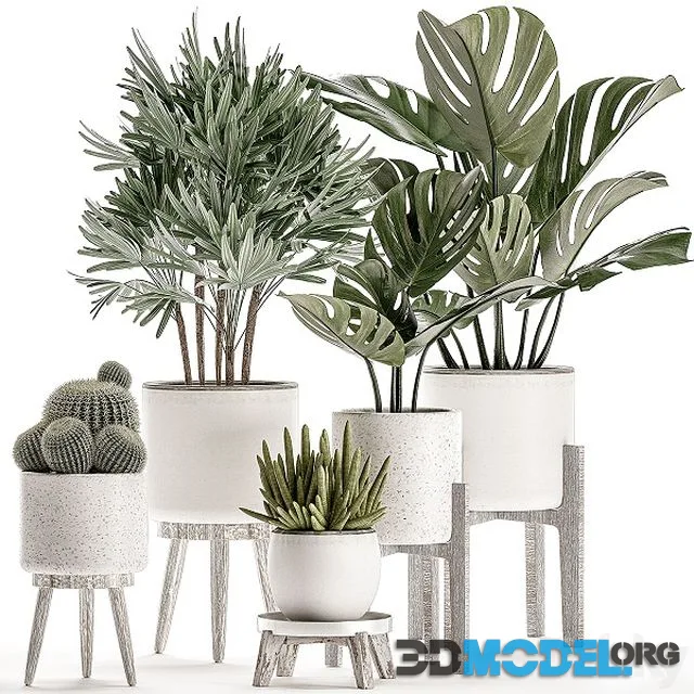 Collection of small plants in white pots Set 509