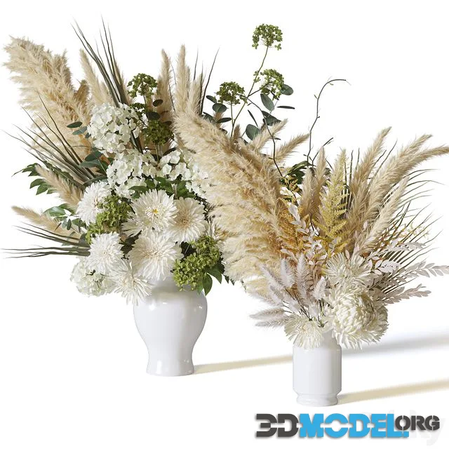 Flower Set 063 pampas chrysanthemum dahlia