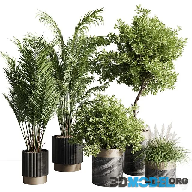 Indoor plant set 57