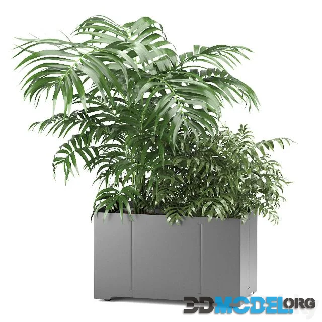 Palm tree in a pot 02 (CAPE Collection)