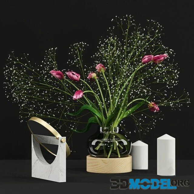 Pink tulips and gypsophila set