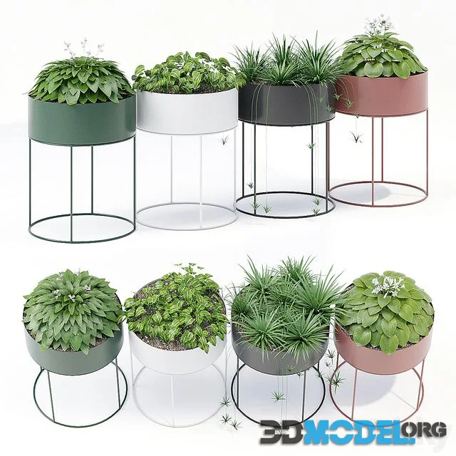 Plant box round