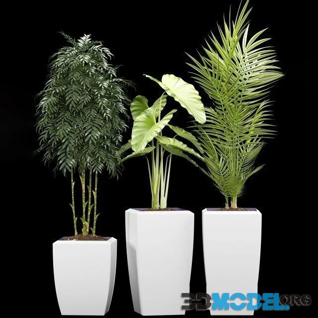 Plants 127