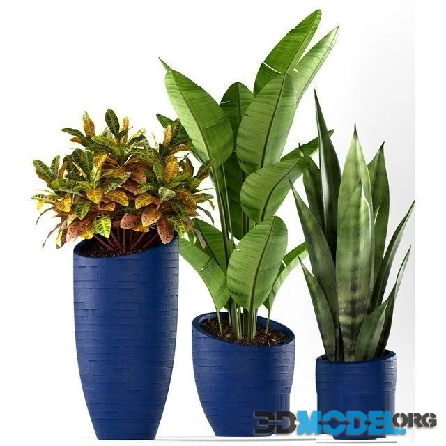 Plants 138