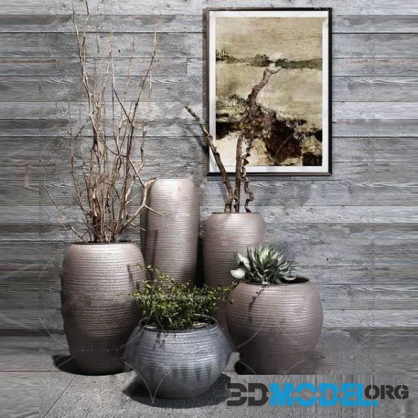 Plants collection 118