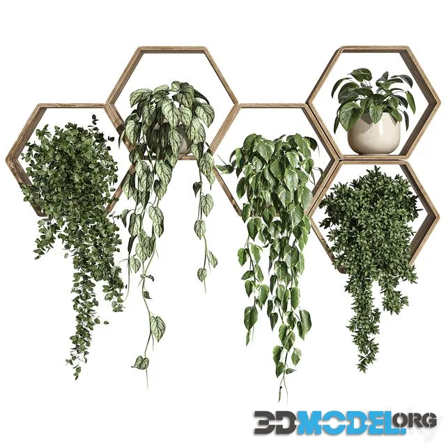 Plants on Shelf 31