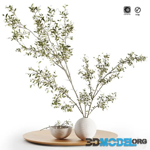 Pulm Branch in White Vase Set3