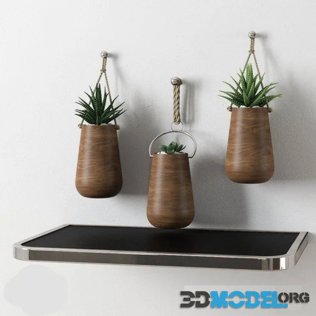 Redhome plants