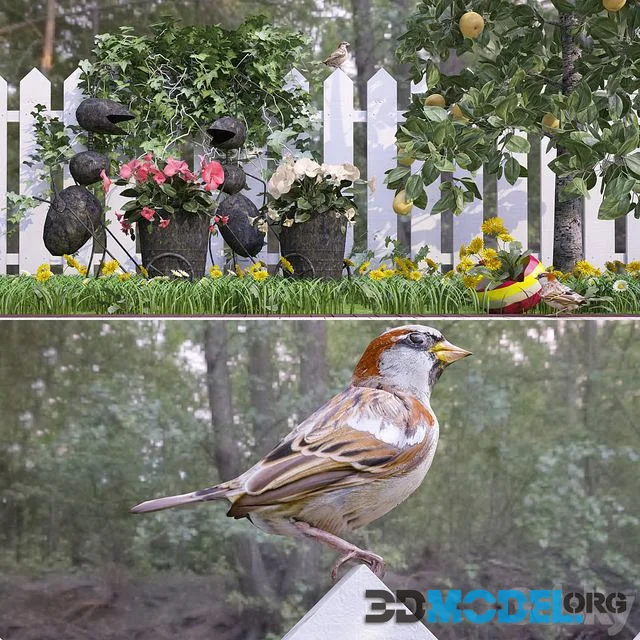 Song sparrow in the country)
