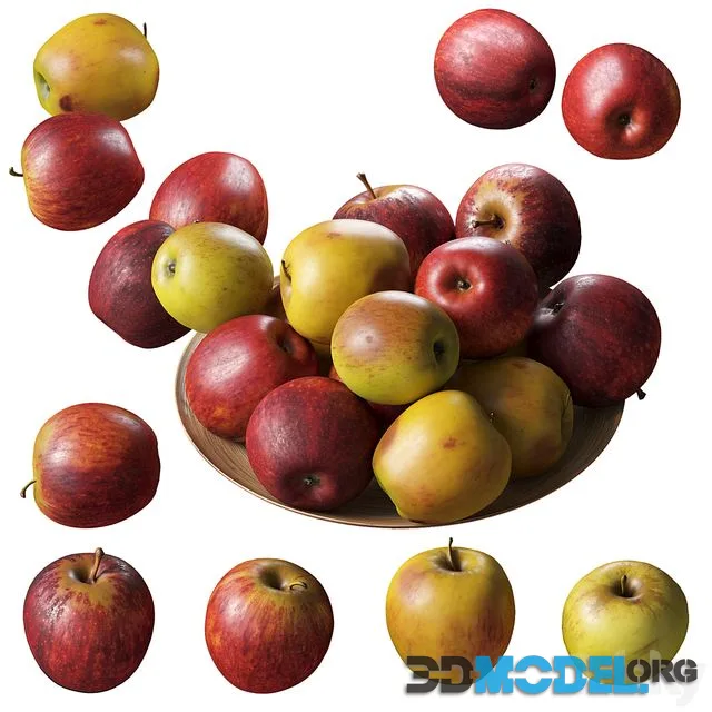 Apples Gala. 4 models
