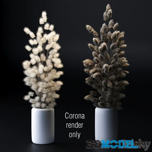 Bouquet of dried flowers. 2 models