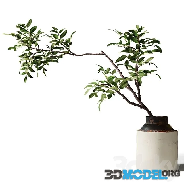 Branch with Green Leaves in an Old Metal Vase