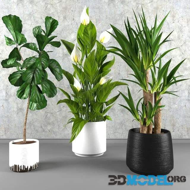 Contemporary houseplant set 3