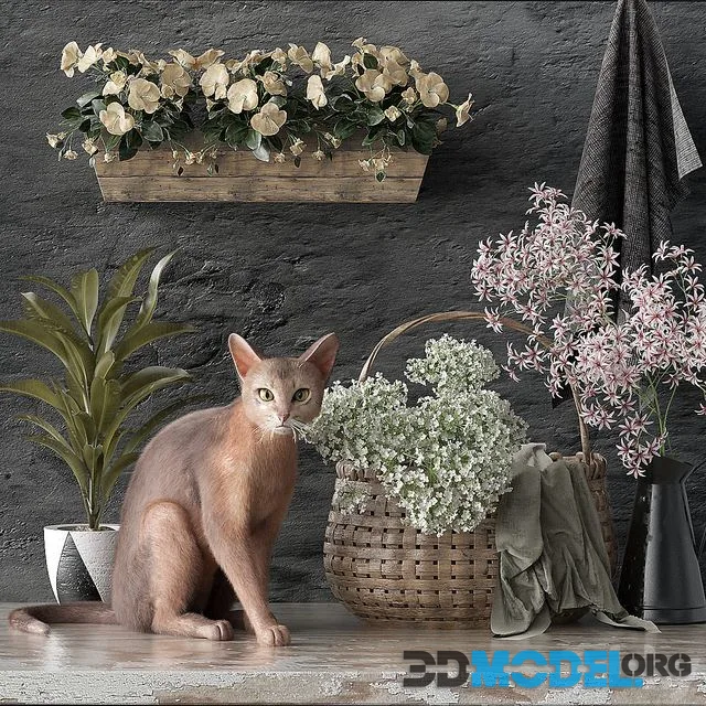 Decorative set 5 with cat