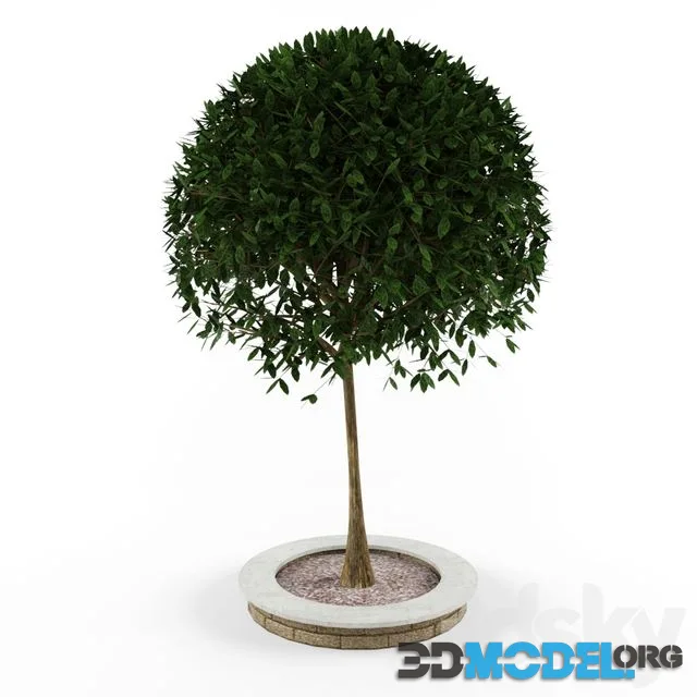 Decorative wood with tree for exterior decoration