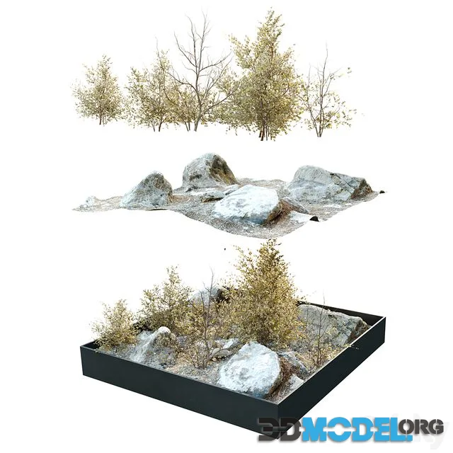Dry plants in rocky base
