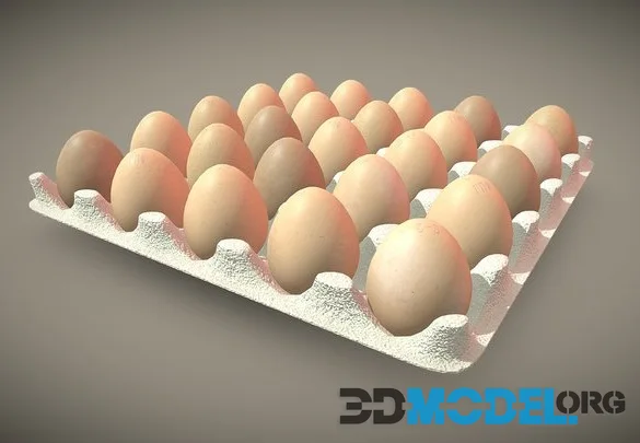 Egg Tray. Лоток С Яйцами (PBR)
