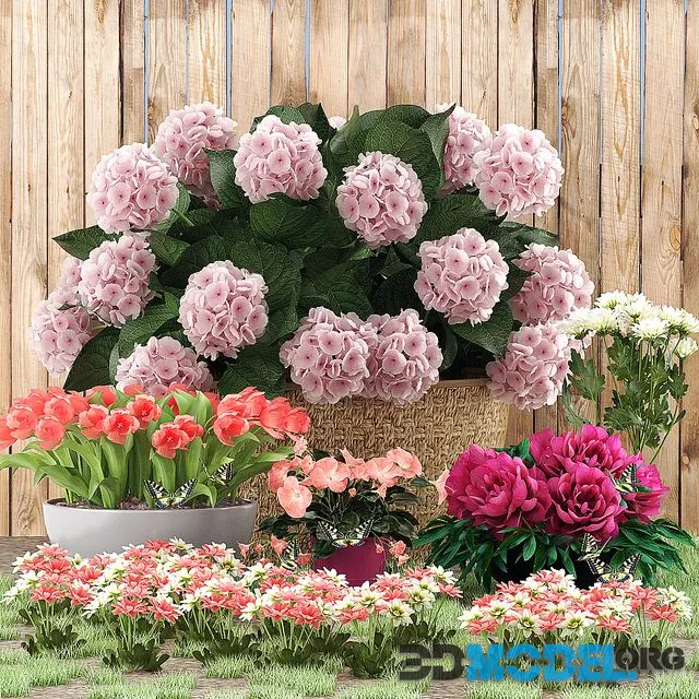 Flower beds