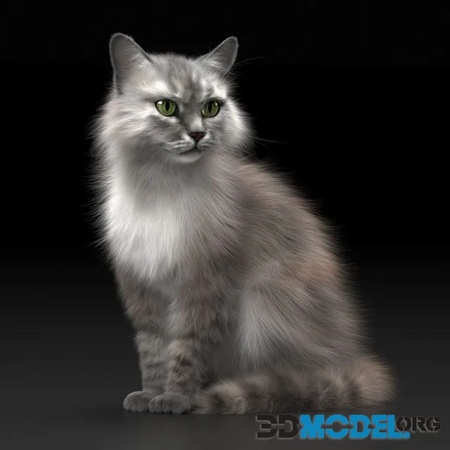 Fluffy cat with green eyes