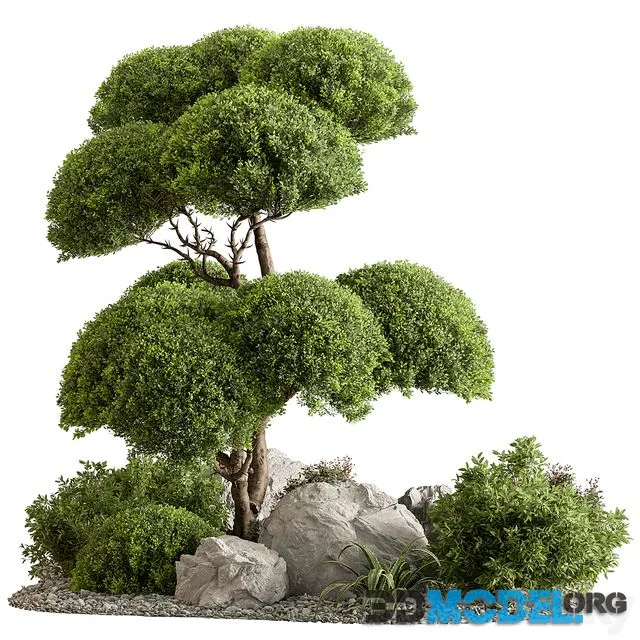 Garden Plants - Outdoor Plants 598