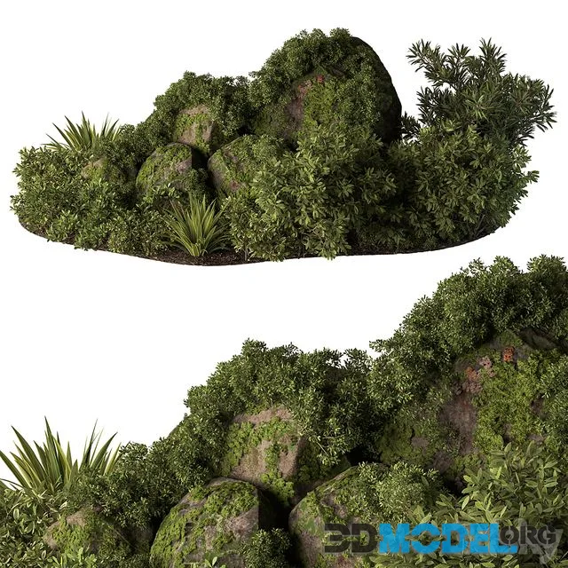 Garden Plants - Outdoor Plants 648
