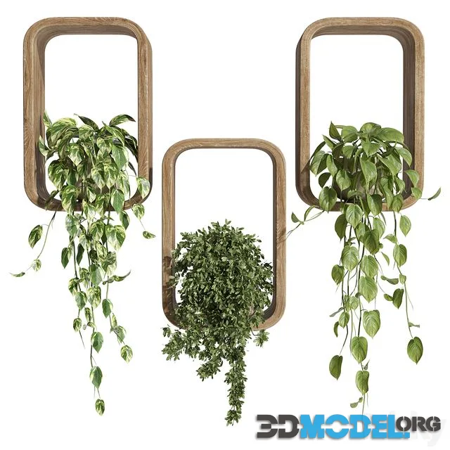 hanging plants on a box
