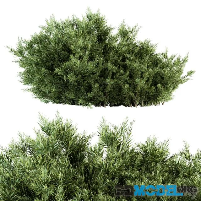Needle Leaf Bush – Bush Set 26