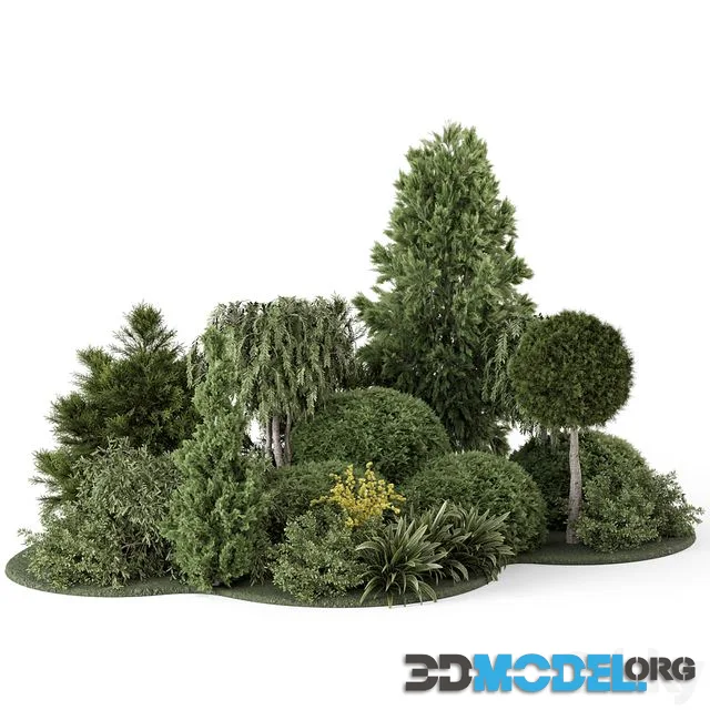 Outdoor Plants Bush Collection 2731