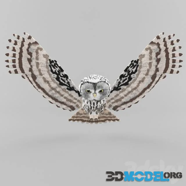 Owl with outstretched wings