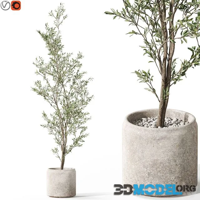 Plants collection 1050