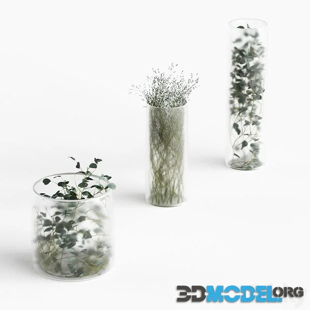 Plants in frosted vases