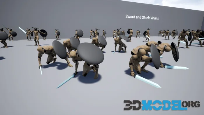 Sword and Shield Anims