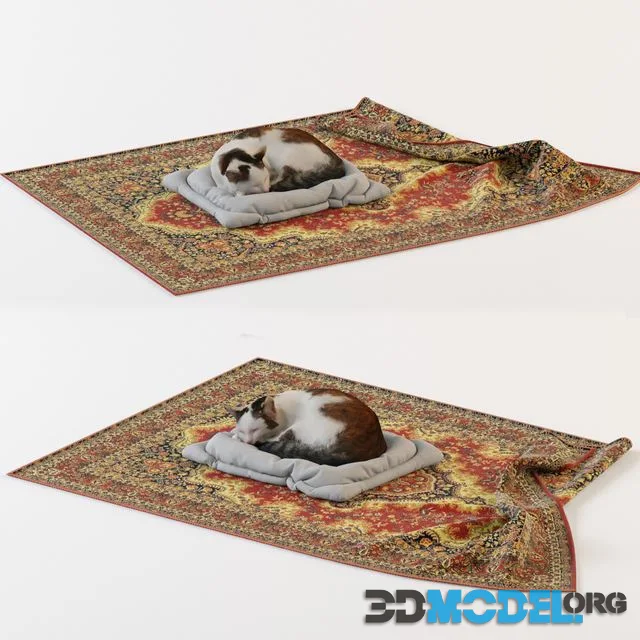 The cat sleeps on a pouf bed