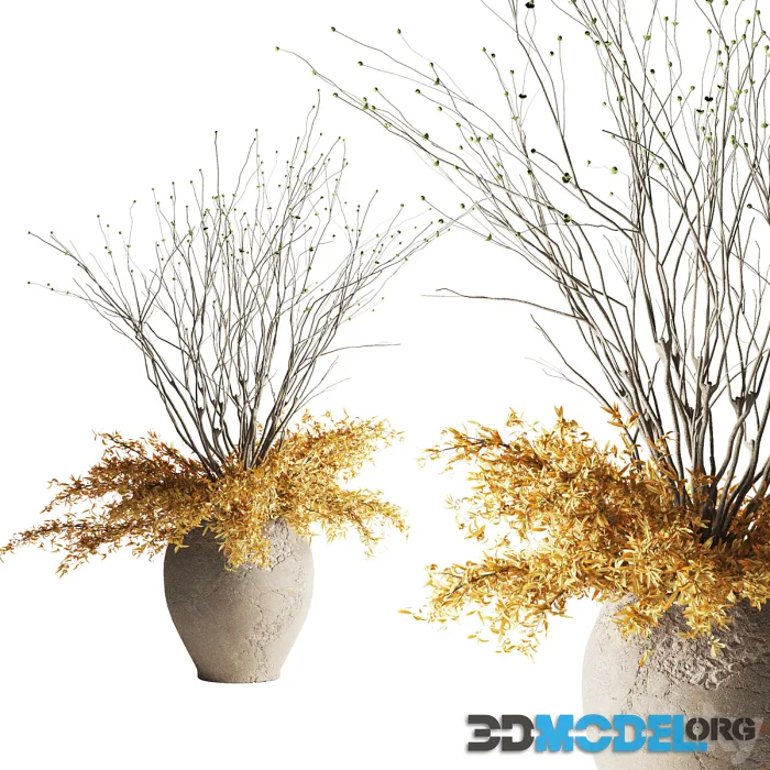 Plants bouquet branches in a vase
