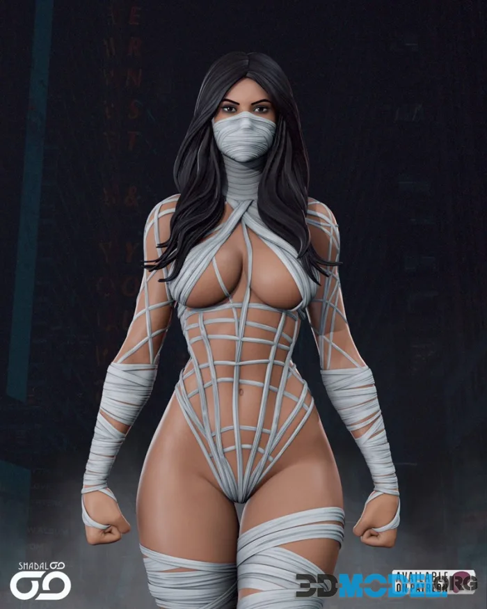 Shadaloo Studios - Silk – Printable