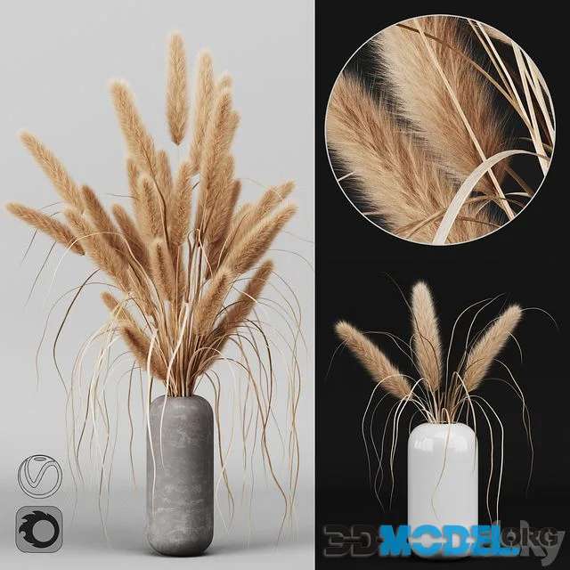 A bunch of Pampas 2