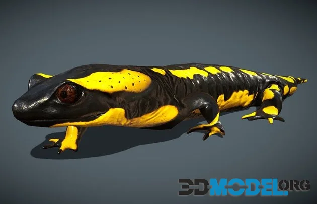 Animated Fire Salamander (PBR)