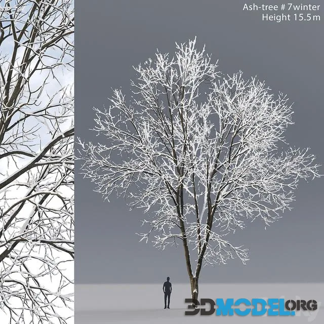 Ash winter
