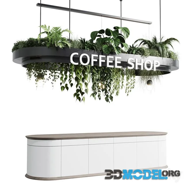 Coffee shop reception, Restaurant counter by hanging plant - 01