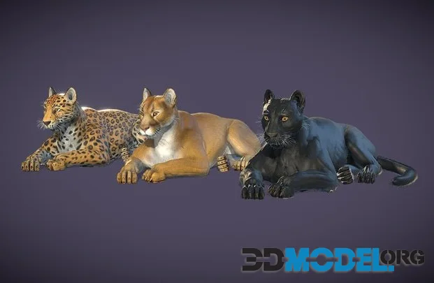 Cougar Panther Leopard (PBR)