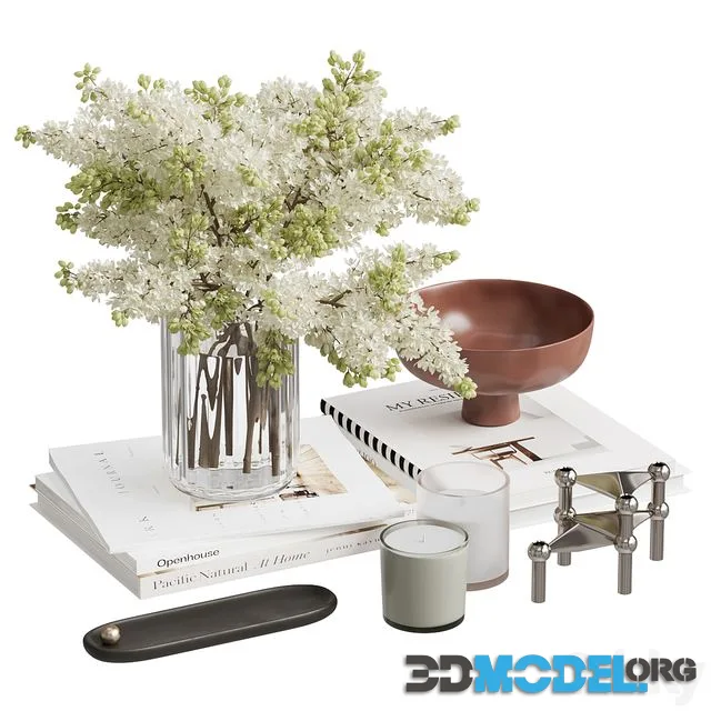 Decorative set 6 (bouquet, vases, books)