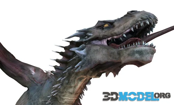 Dragon (PBR)