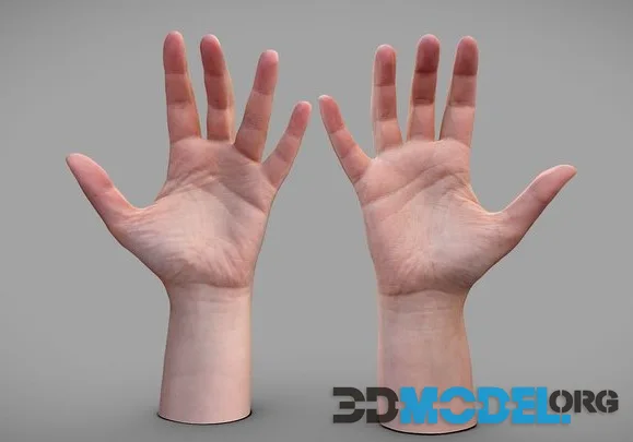 Female Hands (PBR)