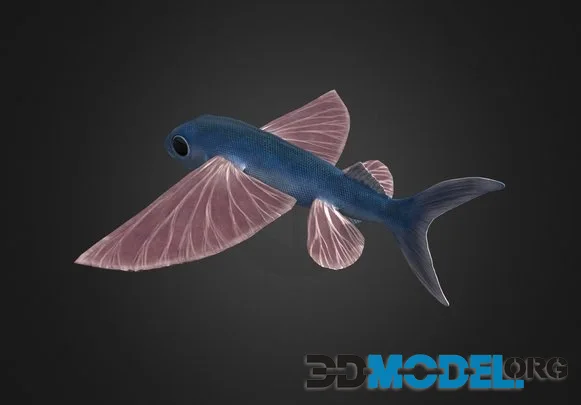 Flying Fish (PBR)