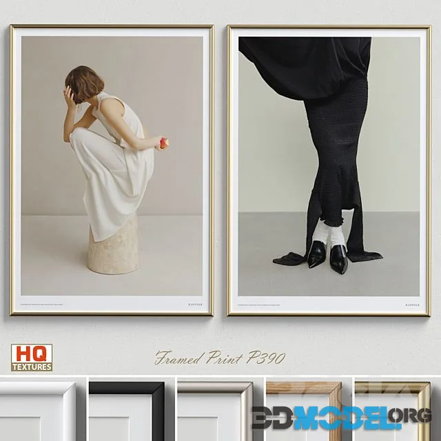 Framed Print P 390