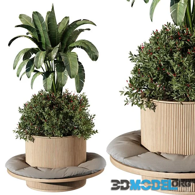 indoor Plant 249