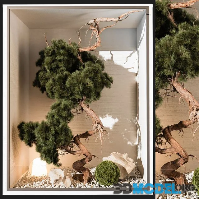indoor Plant 252