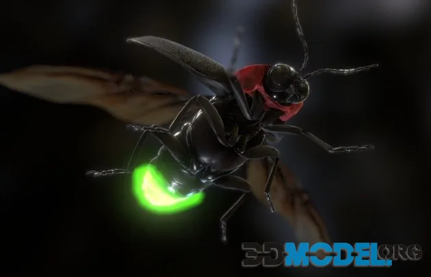 Luciola Lateralis Japanese Fire Fly (PBR)
