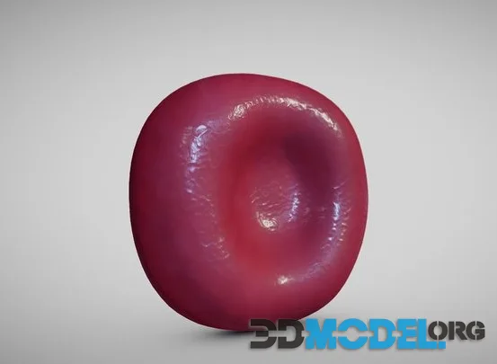 Normal Red Blood Cell (PBR)