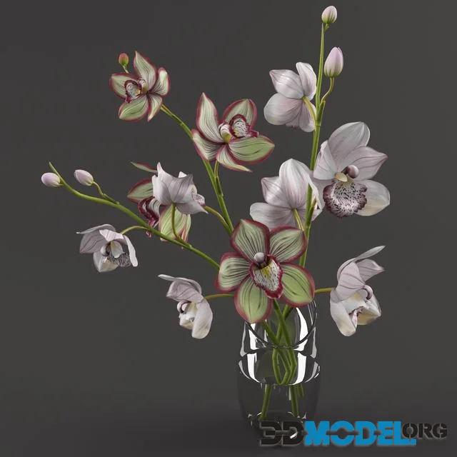 Orchid flowers